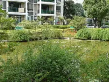 曲沃路321弄昌盛苑 4室2厅 南 北