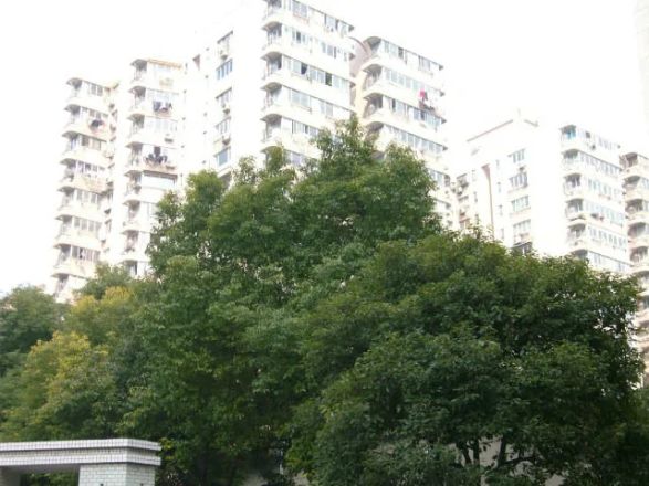 泰荣苑实景图