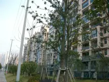 天山怡景苑 2室1厅 南 北