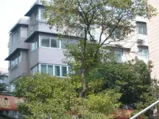 小区中心位置 安静 户型方正