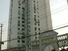 全天阳光房一点不夸张,不信你实地来看看