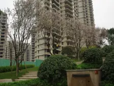 70年产权+雅居乐物业+精装修+拎包入住+看房方便