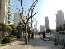 飞机户型,南北通风,无抵押无贷款,业主诚意出售