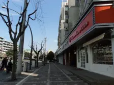 内环内,精装修,顶楼复式,采光好,配套好