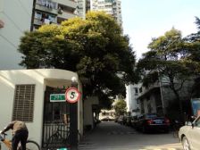 电梯房,大开间,近商圈,近地铁,居家装修