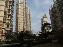 珠江香樟南园1室南朝向520.00万元/套出售