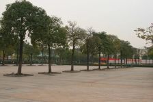 万和楼上两房带租约带大露台业主急卖价格可谈