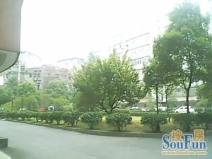 户型、位置佳、视野开阔、空气清新 、特别适合居家过日子