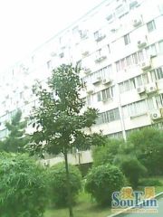 福州路390号江中宿舍 南北通透,采光好 近地铁 视野好,诚心出售