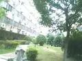 福州路390号江中宿舍户型方正,采光好近地铁视野好,诚心出售
