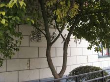 业主自荐,现场实勘,精装南北通,产权清晰,看房方便