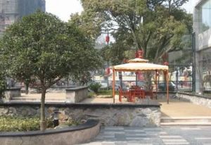 昌南明珠 南北通透,采光好 近地铁 中间楼层