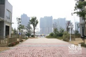 昌南明珠 南北通透,采光好 装修好,环镜优美 视野好,诚心出售