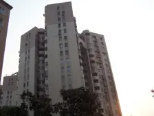 蓝高小区 2室1厅 东南 南