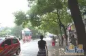 洛阳路医药公司宿舍实景图