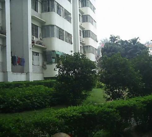 西房经金星花园实景图