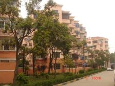 长桥一村,正规两室户,业主诚意出售,看房提前预约