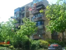 植物园+3号线石龙路300米+低楼层+双南全明户型