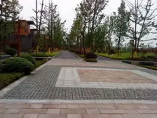 带温泉电梯 门口双停车位 端户上坡户型