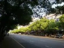 百花洲路 近地铁 视野好,诚心出售