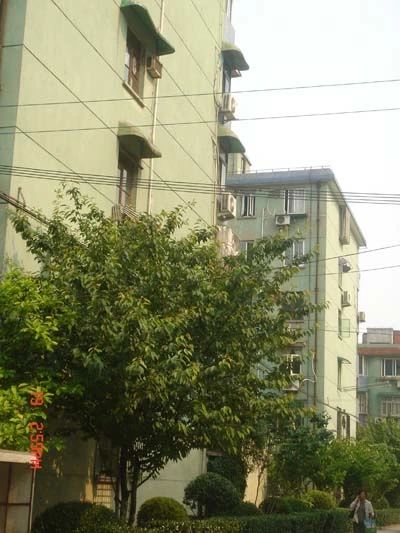 小区相关图