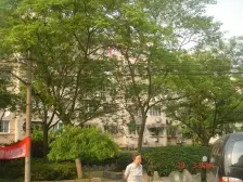 **·梅陇七村·1室·1厅