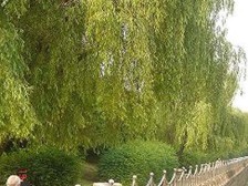 边套全明户型,电梯高层两房,采光充足