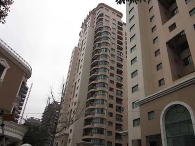 凤凰大厦实景图