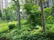 鱼嘴 山涧锦苑二房35万