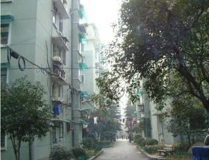 阳明路418号卫生局(血防站)宿舍南北通透,采光好装修好,环镜优美近地铁视野好,诚心出售