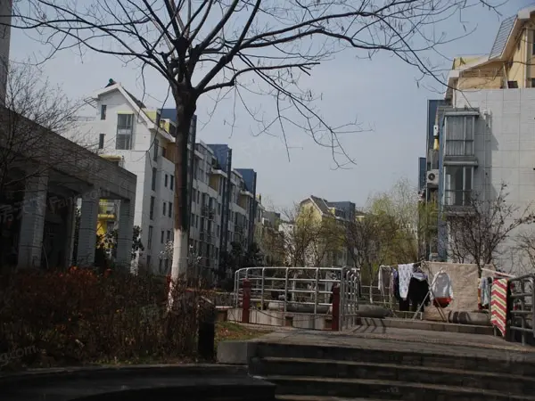 实景图