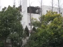 独栋,位置好,花园大,双车位,装修好