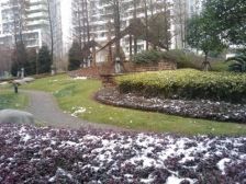 采光充足,配套完善,小区中心位置,交通便利