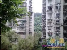 谢家湾 文化六村四房328万