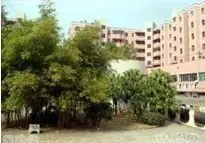 横沥镇中心 学区房