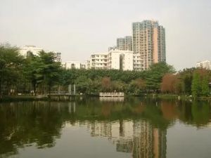 东南朝向,楼层好,采光好,视野开阔