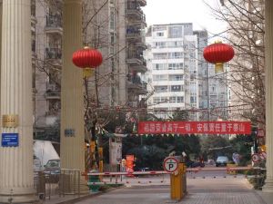 王府花园1室1厅北东北南