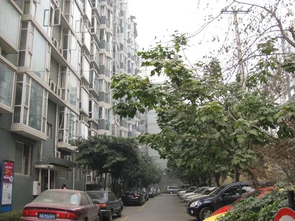 小区相关图