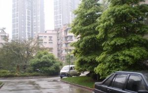 彩舍大厦2室1厅南