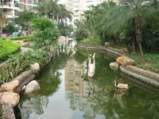 东苑花园一房一厅出售朝南看花园首付七万