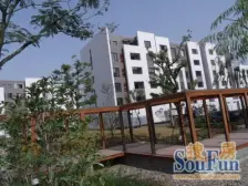 讲究的是一个诚信 青浦房子成千上万 不如这套似你家满五税少