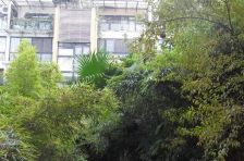 颐景园2室1厅南