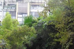 颐景园2室1厅南
