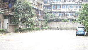 一环路南三段11号 3室1厅 东南