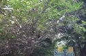 群和街2号院实景图