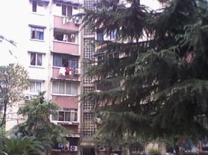 欣苑(成华) 2室1厅 南 北