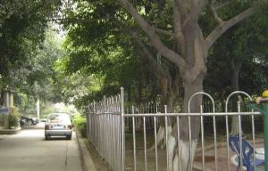 欣苑(成华) 2室1厅 东南