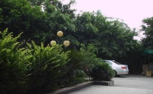 欣苑(成华)3室2厅南