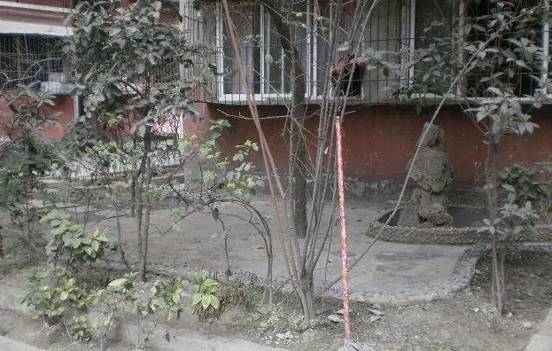 二环路北一段203号院