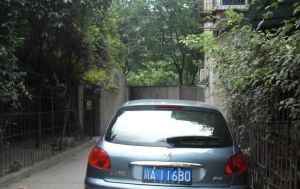 金罗路12号2室1厅南